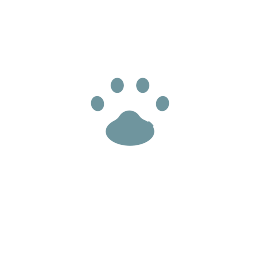 icon of a raised paw wrapped in a bandage