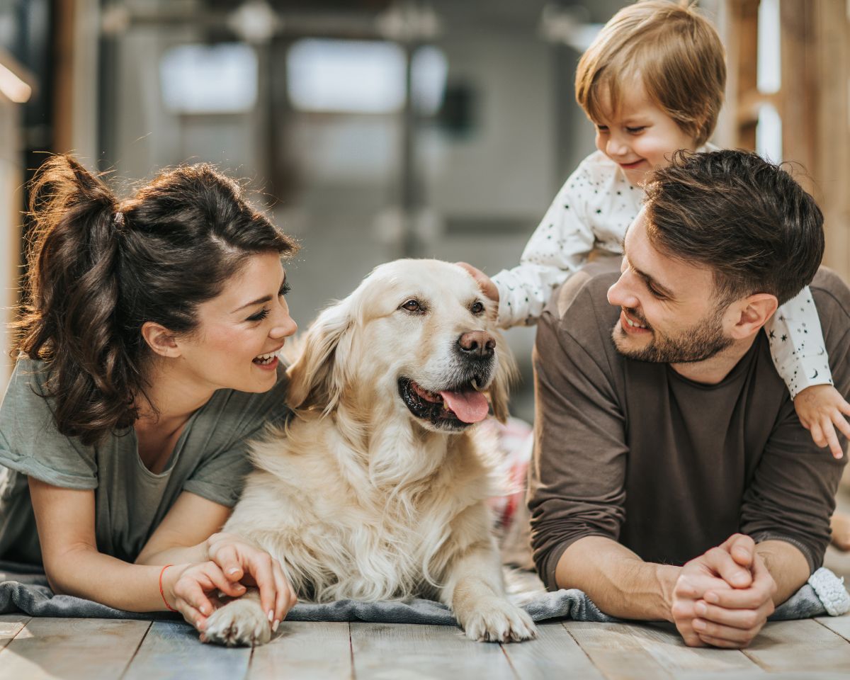 Family dog bonding