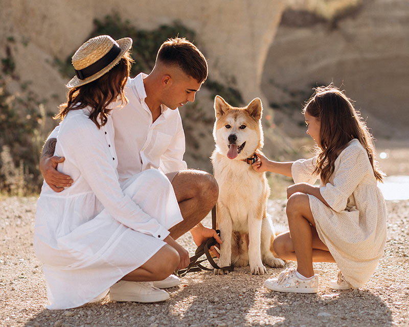 family with daughter and dog at the beach